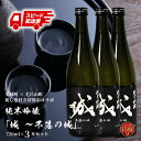 令和5年産 木城町・毛呂山町 新しき村友情都市コラボ 日本酒 純米吟醸「城 〜不落の城〜」3本 - 香りを抑えたスッキリ辛口 木城町産酒米を使用したオリジナルの日本酒を造る『日本酒プロジェクト』送料無料 