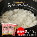 【ふるさと納税】【レビューキャンペーン対象】無洗米コシヒカリ 洗わんでいっちゃが - 5kg/10kg 1回お届け/3回定期便/6回定期便 お米 無洗米 BG精米製法 単一原料米 研ぎ洗い無し キャンプ 節水 無洗米宮崎県産コシヒカリ 一人暮らし 男性 女性 送料無料【宮崎県木城町】