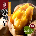【ふるさと納税】農家直送!木城町産 熟成安納芋 内容量選べる 5kg 10kg - さつまいも お芋 いも 安納いも さつま芋 おいも 蜜いも 旬 秋の味覚 お菓子 ヘルシー おやつ 食物繊維 土付き 野菜 サツマイモ 送料無料 【宮崎県木城町】