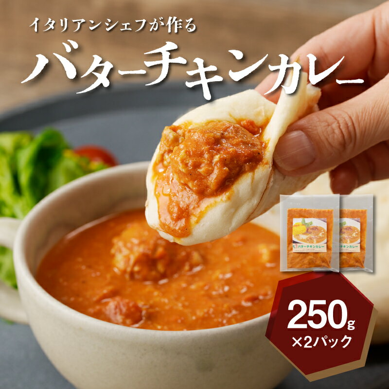 イタリアンシェフが作るバターチキンカレーソース2袋（250g×2袋） - 冷凍 カレー レンジ 宮崎県産 鶏肉 地産地消 キジョリーナ バターチキンカレー まろやか ソース 湯煎調理 2食分 1人前×2 送料無料 【宮崎県木城町】