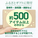 宮崎県木城町の画像3