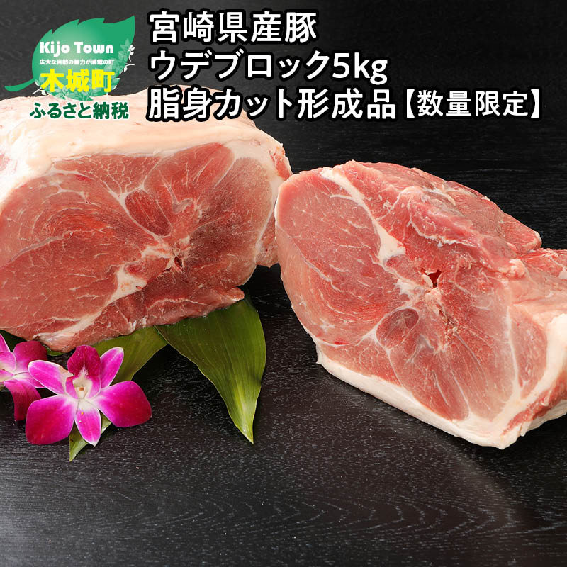 【ふるさと納税】宮崎県産豚ウデブロック5kg！脂身カット形成品【数量限定】 - 国産豚肉 豚ウデ肉 5キロ ブロック肉 …