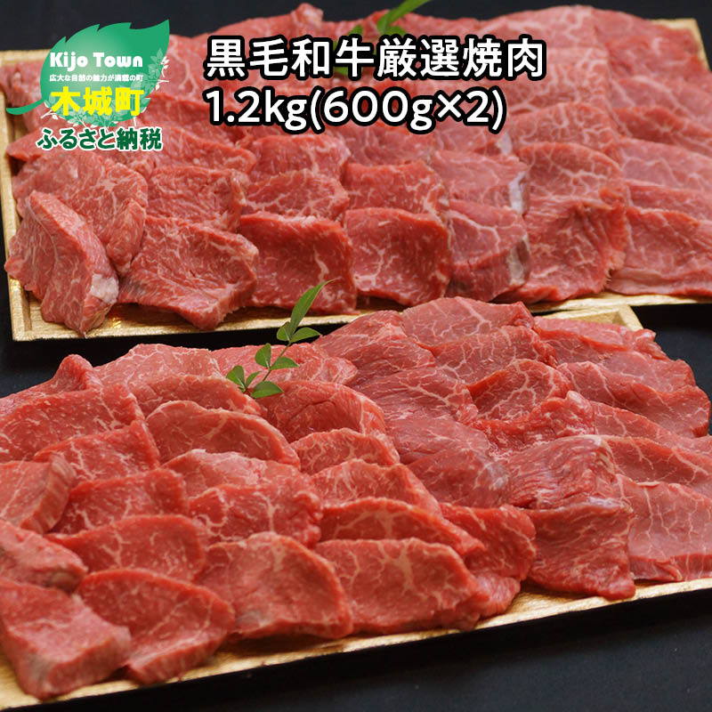 木城ブランチ　有田白木八重牧場育ちの黒毛和牛厳選焼肉　1.2kg(600g×2) - 牛飼一筋 有田牛 牛肉 焼き肉用 赤身肉 エモー牛 あっさりとした黒毛和牛 赤身のうま味 冷凍 送料無料 【宮崎県木城町】