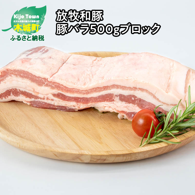 【ふるさと納税】≪放牧和豚≫ バラブロック 500g - 国産 豚肉 豚 豚ブロック ブロック肉 塊肉 かたまり肉 豚肉かたまり バラ肉 豚バラ肉 豚ばら 真空パック Pioneer Pork パイオニアポーク バーベキュー/アウトドア/キャンプ こだわり 送料無料 【宮崎県木城町】