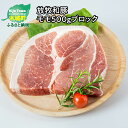  ≪放牧和豚≫ モモブロック 500g - 国産 豚肉 豚 豚ブロック ブロック肉 ブロック 塊肉 かたまり肉 豚肉かたまり 豚もも肉 豚モモ Pioneer Pork(パイオニアポーク) 真空パック ヘルシー 脂身が少ない 真空パック こだわり 送料無料 【宮崎県木城町】