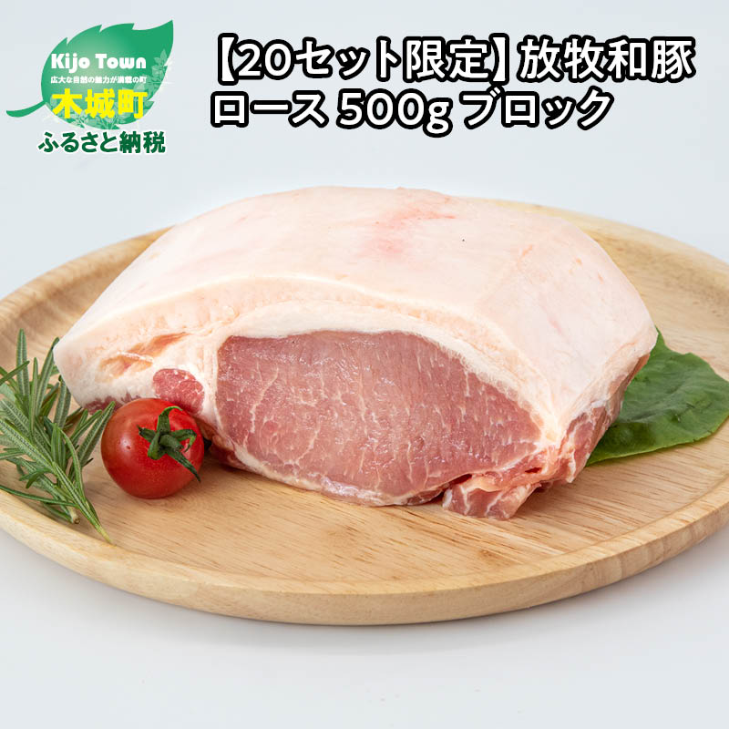 ≪放牧和豚≫ ロースブロック 500g - 国産 豚肉 豚 豚ブロック ブロック肉 ブロック 塊肉 かたまり肉 豚肉かたまり 豚ロース ロース肉 Pioneer Pork(パイオニアポーク) 真空パック トンカツ/ローストポークに こだわり 送料無料 【宮崎県木城町】