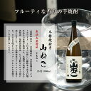 宮崎県木城町の画像3