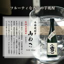 宮崎県木城町の画像3