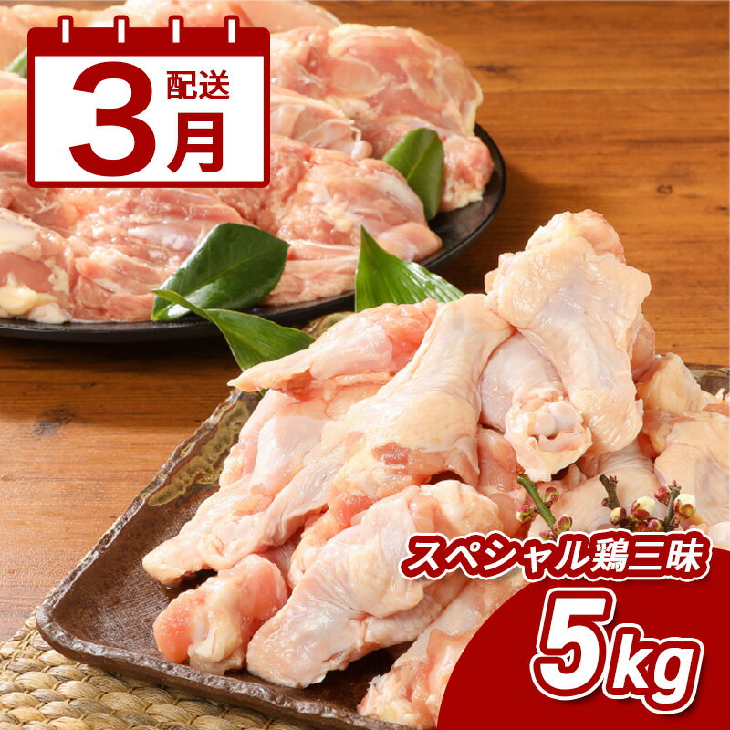 3月配送★宮崎県産鶏 スペシャル鶏三昧5kgセット - 鶏もも肉 鶏むね肉 手羽元 総重量5キロ 鶏肉セット 唐揚げ/チキン南蛮/サラダチキン/煮物 3種類の部位 真空パック 送料無料[宮崎県木城町]