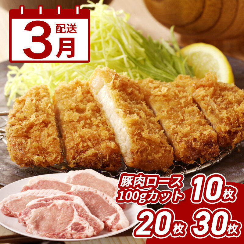 3月配送★宮崎県産豚肉ロース100gカット - お試し10枚/20枚/30枚 小分け とんかつ用 筋切り加工済み とんかつ肉 国産豚肉 総重量3kg 生姜焼き/トンテキ/ポークソテーに 豚ロース ファミリー向け 冷凍 送料無料[宮崎県木城町]