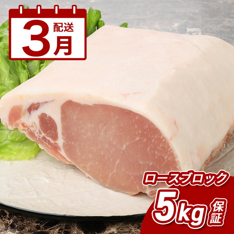 【ふるさと納税】3月配送★宮崎県産豚ロースブロック 5kg越え - 国産豚肉 トンテキ/豚の角煮/トンカツ/..