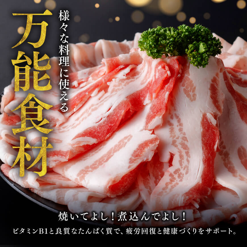 【ふるさと納税】 ※発送時期(最速便含む)・内容量が選べる※宮崎県産豚バラスライス ‐ 国産 九州産 肉 豚 スライス 小分け セット しゃぶしゃぶ すき焼き 焼き肉 薄切り 豚すき 豚しゃぶ ミヤチク 煮物 便利 簡単 お手軽 大晦日 正月 送料無料 宮崎県川南町 C00686 C00687 f454052-kawaminami-10002445 宮崎県川南町 サンプル画像2