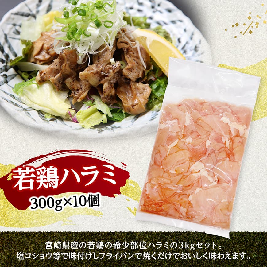 【ふるさと納税】※部位が選べる※宮崎県産若鶏3kg（300g×10） - 肉 鶏 鶏肉 国産 九...