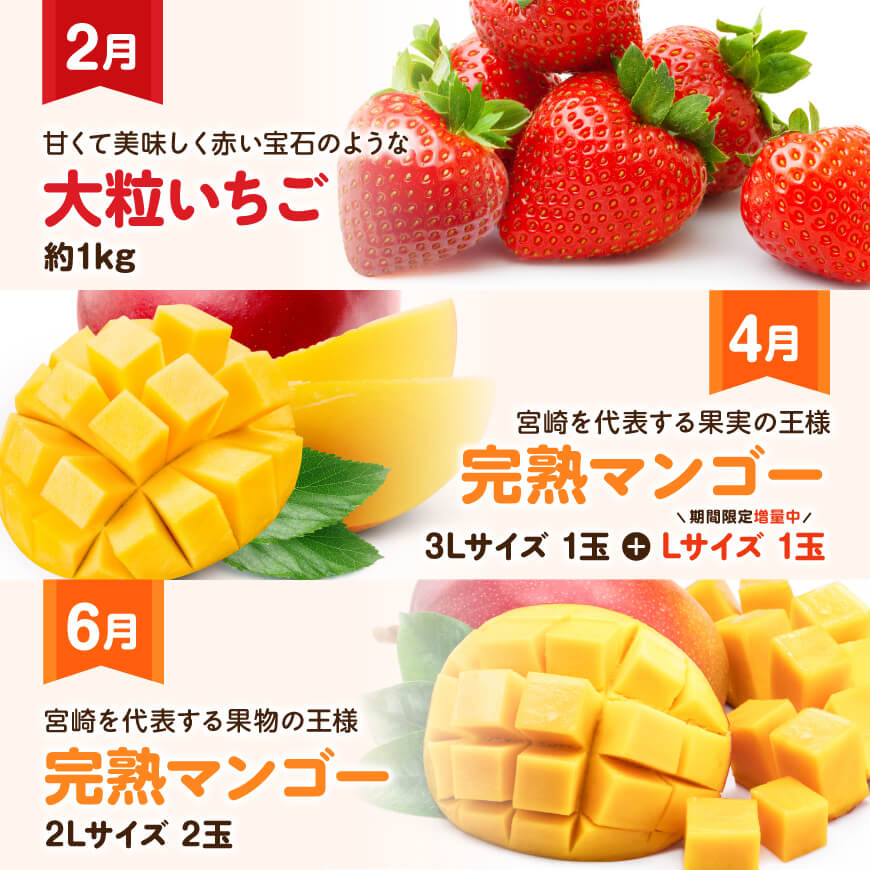 【ふるさと納税】※期間限定※【 全6回定期便 】 プレミアム デラックス 定期便 【偶数月】 - 川南町産 いちご 完熟 マンゴー ぶどう シャイン マスカット メロン D11715t6