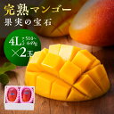 【ふるさと納税】マンゴー 完熟マンゴー※糖度15度以上※『果...