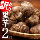 商品画像2