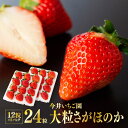 【ふるさと納税】※令和3年発送※宮崎県産いちご!「大粒」さが...