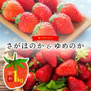 【ふるさと納税】いちご さがほのか&ゆめのか食べ比べセット