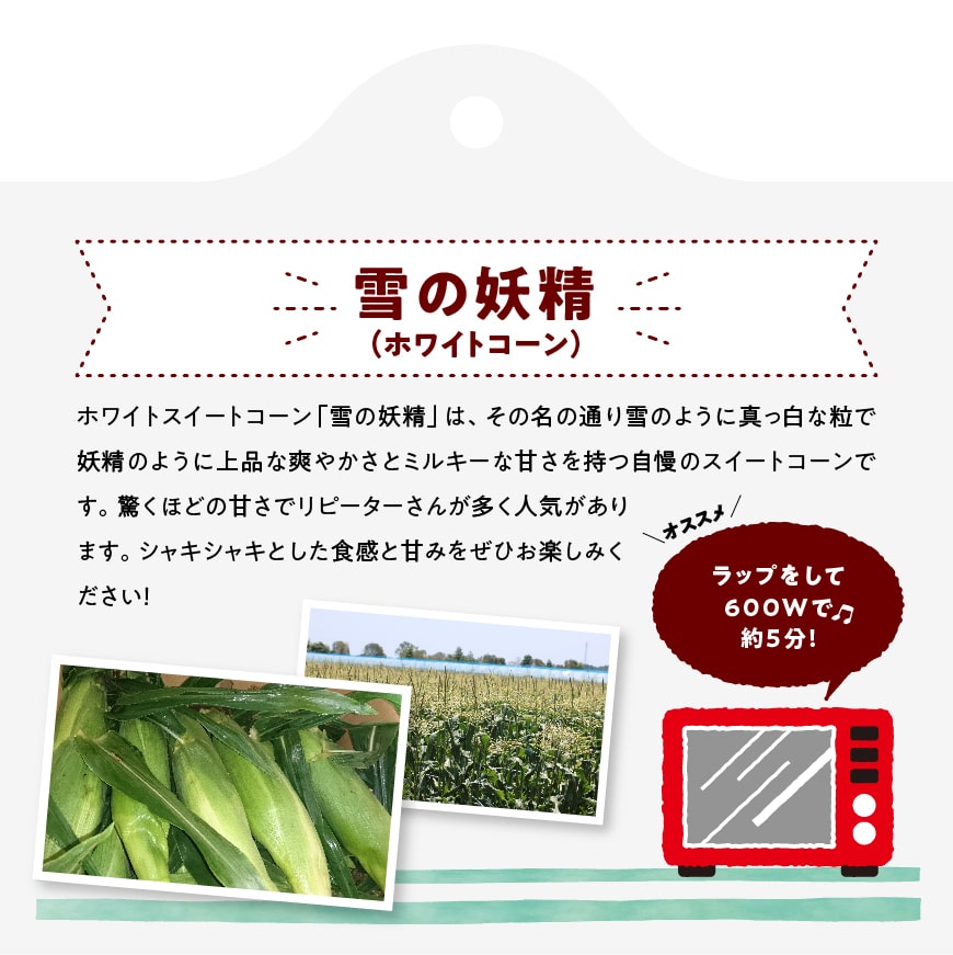 【ふるさと納税】※レビューキャンペーン※ 【令和6年発送】 宮崎県産とうもろこし 大山さんちの ホワイトコーン (雪の妖精) 4.5kg - 先行予約 数量限定 期間限定 季節限定 送料無料 とうもろこし 大山農園 スイートコーン E7102