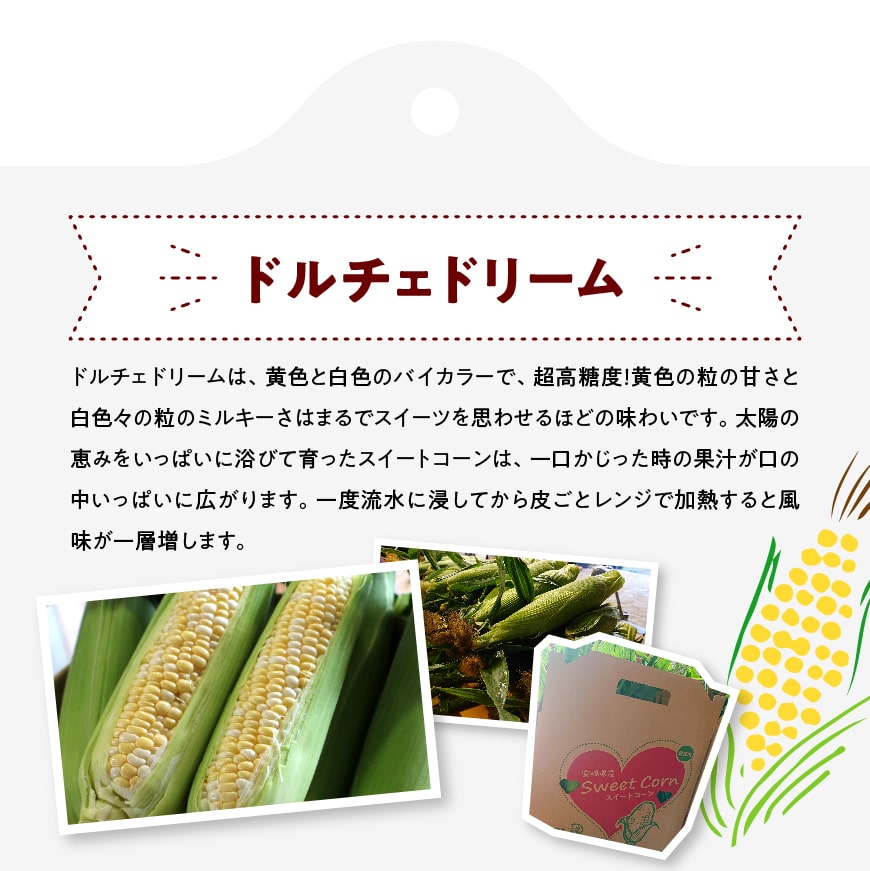 【ふるさと納税】【令和6年発送】 宮崎県産とうもろこし 大山さんちのスイートコーン2種セット 4.5kg (雪の妖精＆ドルチェドリーム) - 季節限定 数量限定 先行予約 期間限定 送料無料 食べ比べ セット 九州産 宮崎県産 川南町産 とうもろこし E7103