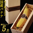 【ふるさと納税】そのままガブリ!皮まで食べられるバナナ「NEXT716」5本入り 生産者こだわりの逸...