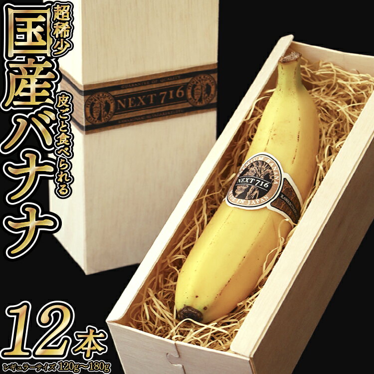 【ふるさと納税】そのままガブリ！皮まで食べられるバナナ「NEXT716」12本入り　生産者こだわりの逸品（レギュラーサイズ：120g〜180g/本）