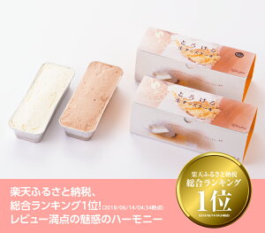 【ふるさと納税】人気 チーズケーキ とろける生チーズケーキ (プレーン＆チョコ) 新食感 ケーキ スイーツ 生クリーム 生メロンパン付 ナチュラルチーズ使用 押川春月堂本店 送料無料