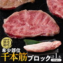【ふるさと納税】【超希少】宮崎県産 黒毛和牛 千本筋 ブロック 計300g以上 食品 希少 幻の部位 肉 牛肉 国産 焼肉 焼き肉 バーベキュー BBQ 牛丼 ...