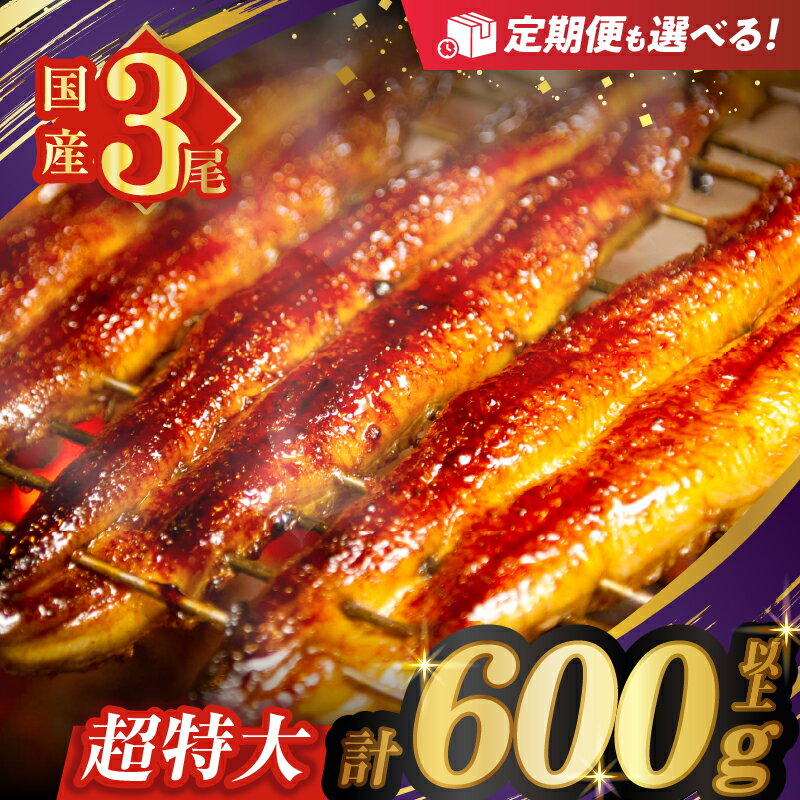 【ふるさと納税】≪選べる内容量≫ うなぎ 蒲焼 特大 3尾 さんしょう たれ付き 計600...