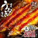 12位! 口コミ数「4,367件」評価「4.5」《レビューキャンペーン》 数量限定 うなぎ 蒲焼 5尾 さんしょう たれ付き 計850g以上 国産 ひつまぶし うな重 お茶漬け 食品 人気･･･ 