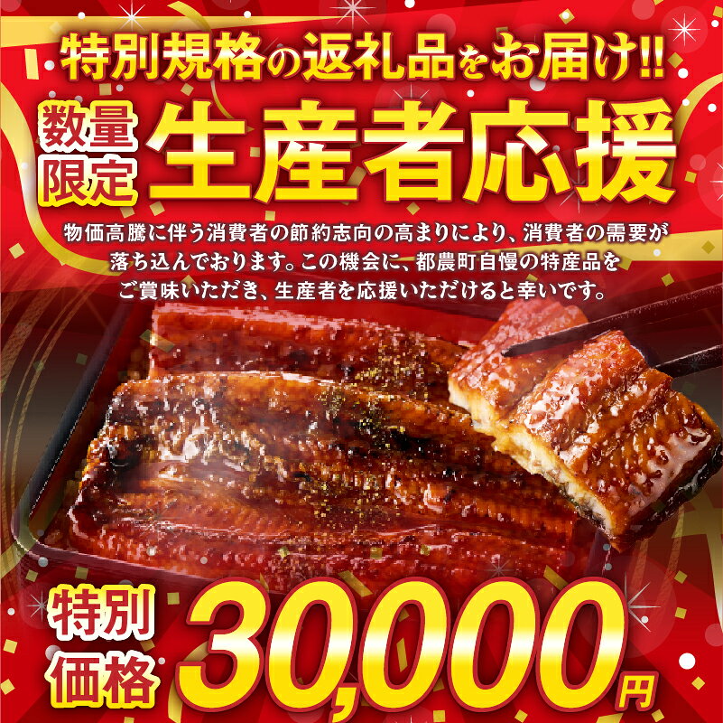 【ふるさと納税】【年内発送】【数量・期間限定 特別規格】≪内容量・発送時期が選べる≫ うなぎ 蒲焼 3尾 or 5尾 定期便 丑の日 国産 宮崎 うな重 うなぎ長焼 ひつまぶし 冬うなぎ 小分け 個包装 真空パック 人気 鰻楽 ギフト 贈り物 お歳暮 リピーター続出 都農町 送料無料