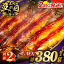 【ふるさと納税】≪2週間発送≫≪選べる配送≫ うなぎ 蒲焼 特大 2尾 さんしょう たれ付き 計380g以上 総重量1.14kg以上 定期便 丑の日 母の日 父...