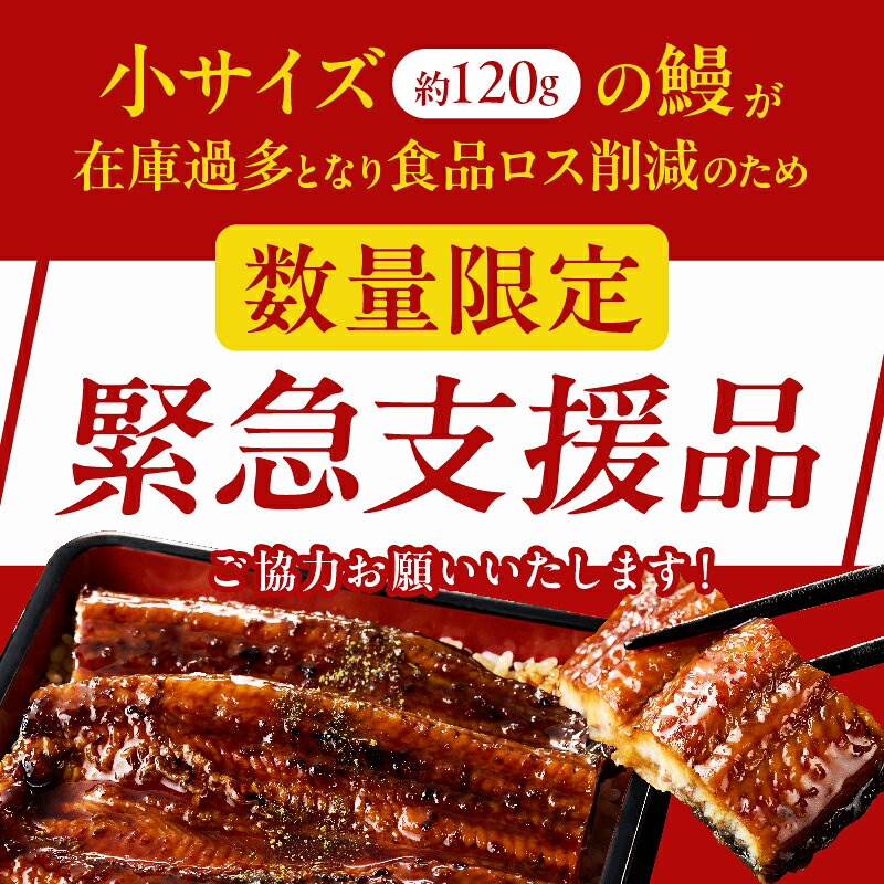 【ふるさと納税】【年内発送】【緊急支援品】≪内容量・発送時期が選べる≫ うなぎ 蒲焼 1尾 or 2尾 定期便 国産 ウナギ 宮崎 丑の日 うな重 うなぎ長焼 ひつまぶし 冬うなぎ 小分け 個包装 真空パック 人気 鰻楽 ギフト 贈り物 贈答 お歳暮 リピーター続出 都農町 送料無料