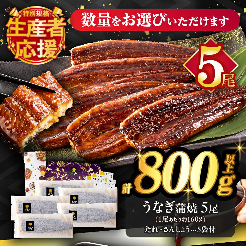 【ふるさと納税】【年内発送】【数量・期間限定 特別規格】≪内容量・発送時期が選べる≫ うなぎ 蒲焼 3尾 or 5尾 定期便 丑の日 国産 宮崎 うな重 うなぎ長焼 ひつまぶし 冬うなぎ 小分け 個包装 真空パック 人気 鰻楽 ギフト 贈り物 お歳暮 リピーター続出 都農町 送料無料