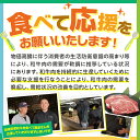 宮崎県都農町の画像3