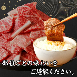 【ふるさと納税】宮崎牛 切り落とし 焼肉用 計1.5kg 牛肉 国産 ブランド牛 高級 贅沢 小分け 詰め合わせ 赤身 バーベキュー キャンプ グランピング 手土産 ギフト おすすめ 人気 お取り寄せ グルメ ご褒美 お祝い 記念日 BBQ 黒毛和牛 宮崎県 都農町 送料無料