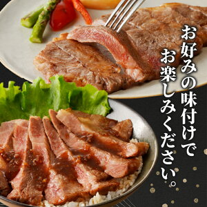 【ふるさと納税】≪レビューキャンペーン≫ 宮崎牛 ロース ステーキ 計500g 250g×2枚 牛肉 焼肉 国産 BBQ 最高級 霜降り ブランド牛 小分け お取り寄せ 贈り物 ギフト 贅沢 ディナー おかず グランピング パーティー 人気 おすすめ 誕生日 お祝い 宮崎県 都農町 送料無料