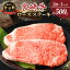 【ふるさと納税】≪レビューキャンペーン≫ 宮崎牛 ロース ステーキ 計500g 250g×2枚 牛肉 焼肉 国産 BBQ..