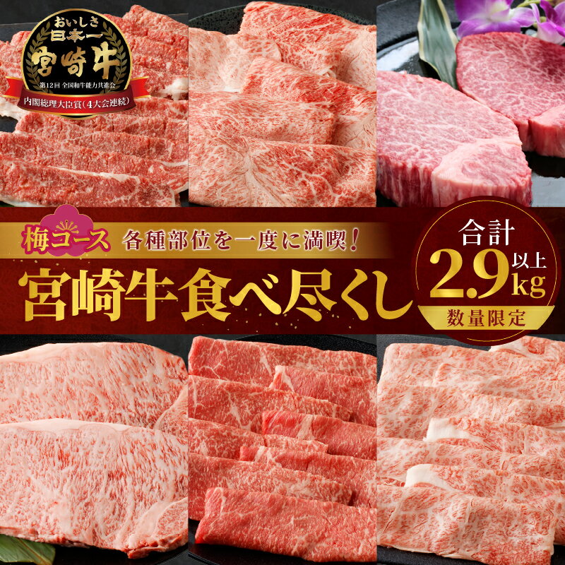 【ふるさと納税】数量限定 宮崎牛 食べ尽くし 梅コース 合計2.9kg以上 肉 牛肉 国産 期間限定 人気 ブランド牛 4等級 ステーキ スライス すき焼き しゃぶしゃぶ おかず 晩ご飯 ディナー パーティー ご褒美 記念日 お祝 贅沢 お取り寄せ グルメ 宮崎県 都農町 送料無料