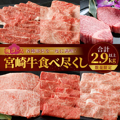 数量限定 宮崎牛 食べ尽くし 梅コース 合計2.9kg以上 肉 牛肉 国産 期間限定 人気 ブランド牛 4等級 ステーキ スライス すき焼き しゃぶしゃぶ おかず 晩ご飯 ディナー パーティー ご褒美 記念日 お祝 贅沢 お取り寄せ グルメ 宮崎県 都農町 送料無料