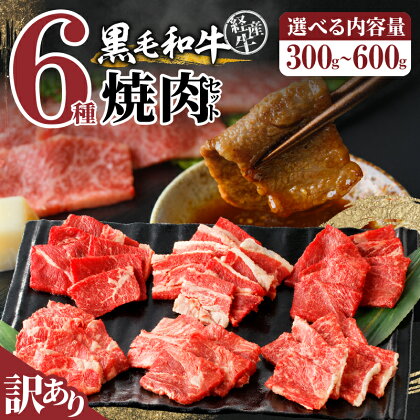 ≪レビューキャンペーン≫ 内容量が選べる 訳あり 黒毛和牛 経産牛 6種 焼肉 セット 牛肉 ビーフ 国産 食べ比べ お試し 晩ご飯 おかず お弁当 おつまみ 鉄板焼き バーベキュー グランピング 詰め合わせ お取り寄せ グルメ 食品 冷凍 宮崎県 都農町 送料無料