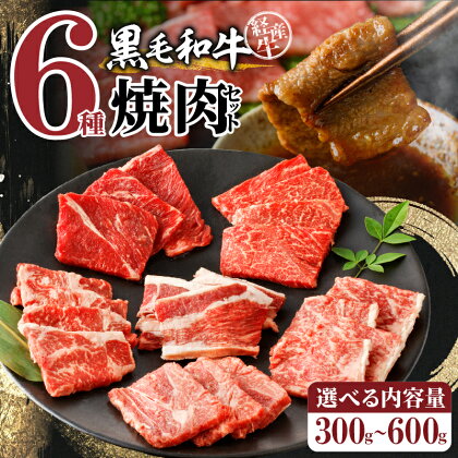 ≪レビューキャンペーン≫ 内容量が選べる 訳あり 黒毛和牛 経産牛 6種 焼肉 セット 牛肉 ビーフ 国産 食べ比べ お試し 晩ご飯 おかず お弁当 おつまみ 鉄板焼き バーベキュー グランピング 詰め合わせ お取り寄せ グルメ 食品 冷凍 宮崎県 都農町 送料無料