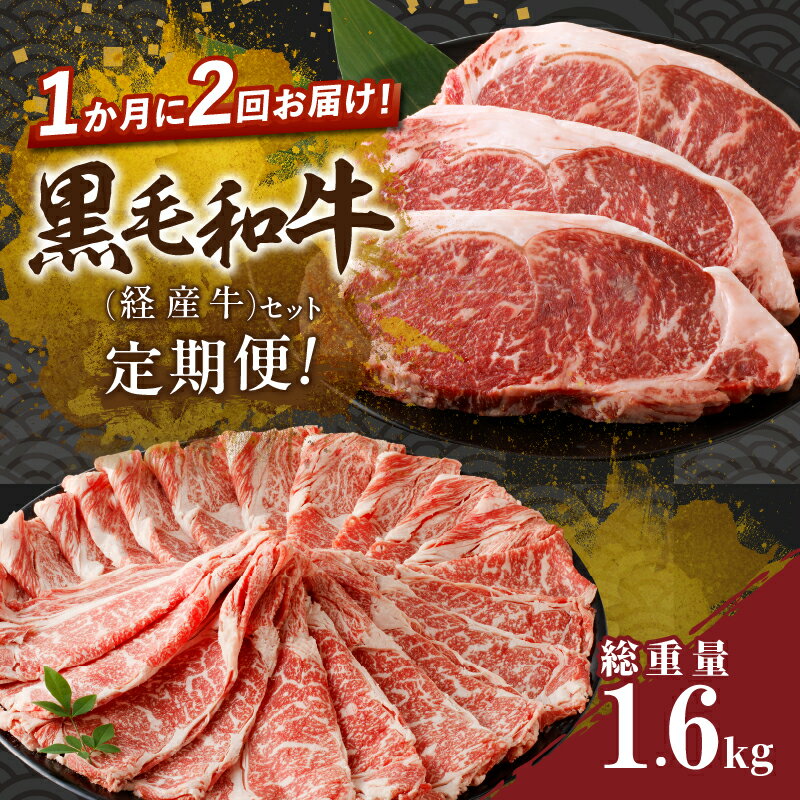 【ふるさと納税】定期便 ＼1か月に2回お届け！！／ 黒毛和牛 経産牛 セット 総重量1.6kg 肉 牛肉 ビー...