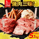【ふるさと納税】 ≪3か月お楽しみ定期便≫ ミヤチク 焼肉 三昧セット (総重量5.1kg) 宮崎牛 牛肉 モモ ロース ミックス ホルモン ソーセージ ウイン...