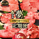 【ふるさと納税】≪6か月定期便≫ 夢の 宮崎牛 食べつくし セット 総重量6kg ブランド牛 A4 A5 牛丼 牛肉 切り落とし スライス ウデ モモ 肩ロース...