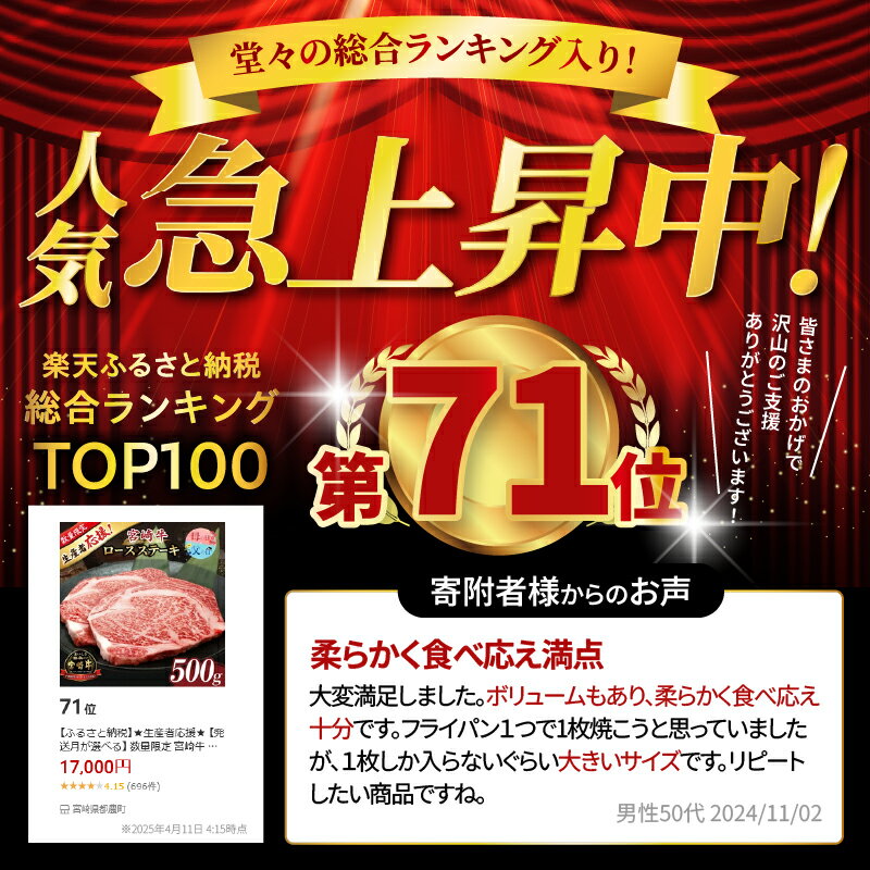 【ふるさと納税】【発送月が選べる】★生産者応援★ 数量限定 宮崎牛 ロースステーキ 計500g 計1kg 黒毛和牛 国産牛 精肉 食品 A4 A5 肉 牛肉 ステーキ肉 焼肉 BBQ 高級 極上 厚切り お祝い 記念日 おすすめ 人気 ギフト 贈答 贈り物 冷凍 ミヤチク 宮崎県 都農町 送料無料