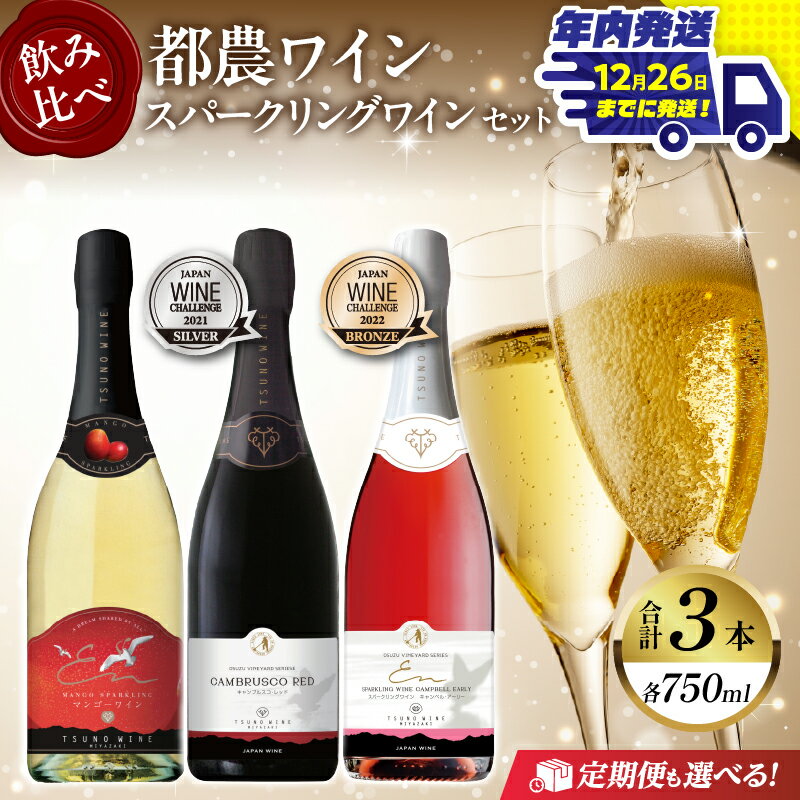 【ふるさと納税】《年内発送》【定期便も選べる】飲み比べ!! 都農ワイン スパークリング ワイン 3本 セット 酒 飲料 アルコール 国産 ぶどう 赤ワイン 白ワ...