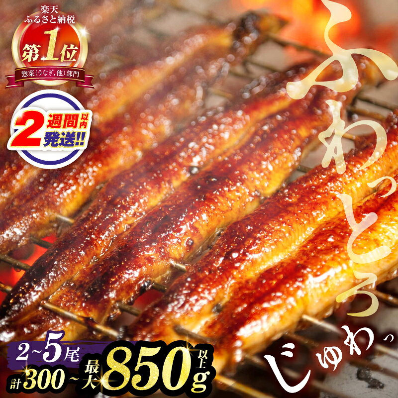 総合1位獲得![楽天限定]≪都農夏大祭!!≫≪選べる!!内容量・発送時期・定期便≫ お中元のし対応 うなぎ 蒲焼 2尾 3尾 5尾 unagi 丑の日 定期便 美味しい 国産 宮崎県 鰻 うな重 うなぎ長焼 ひつまぶし 小分け 真空パック 鰻楽 ギフト 贈り物 都農町