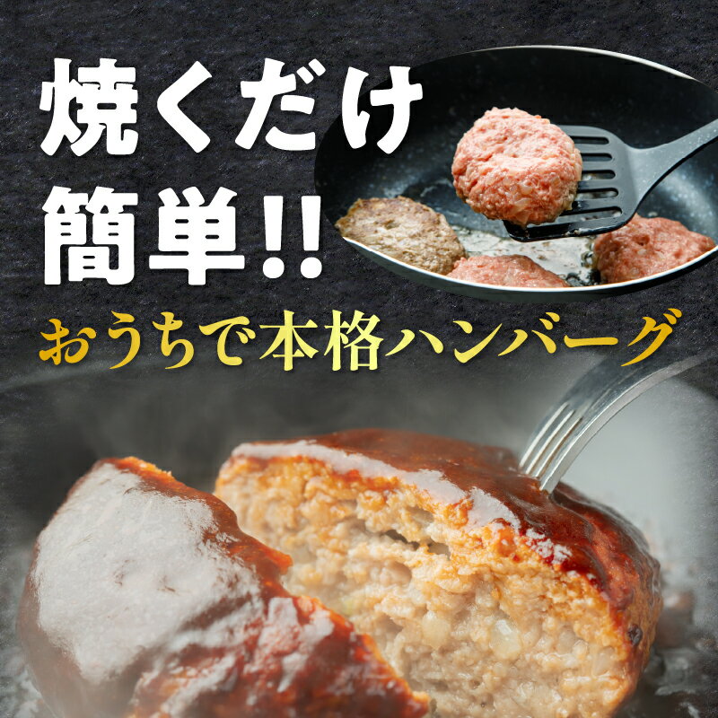 【ふるさと納税】《レビューキャンペーン》 【個数が選べる！！】 数量限定 宮崎県産 豚肉 プレミアム ハンバーグ 9個 11個 16個 21個 ポーク 加工品 惣菜 簡単調理 手作り 真空パック 個包装 おすすめ 記念日 お取り寄せ グルメ おすそ分け 冷凍 宮崎県 都農町 送料無料