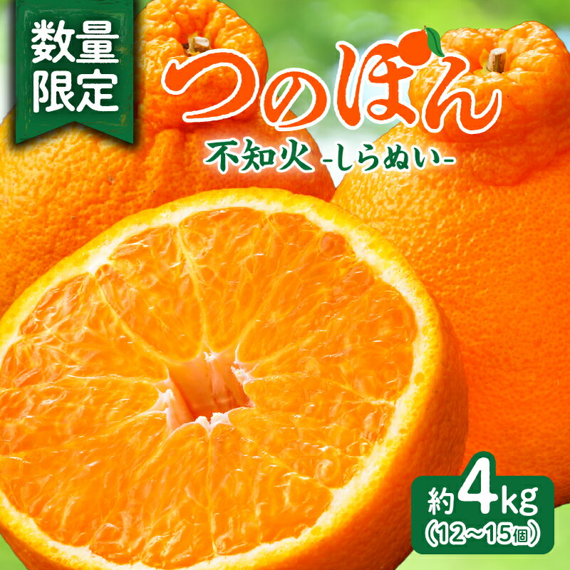 先行予約 ≪数量限定≫ 不知火 (つのぽん) 約4kg フルーツ 果物 くだもの みかん しらぬい 柑橘 2026 国産 期間限定 おすすめ 宮崎 産地直送 フルーツサンド フルーツジュース おすそ分け 手土産 おうち時間 お返し ギフト 贈り物 都農町 送料無料